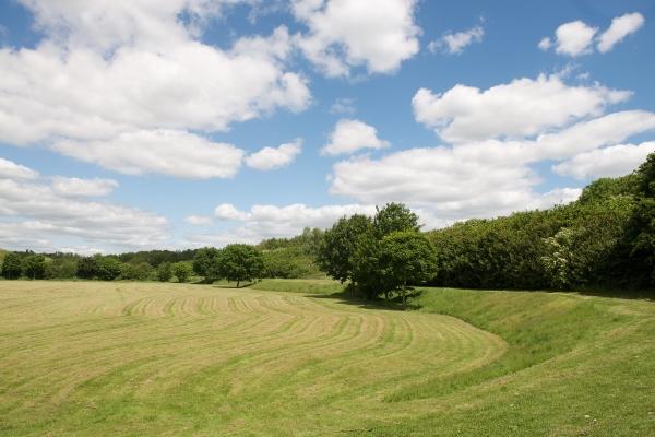 Stockley Park in bright sunshine