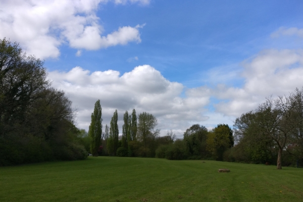 A wide grassy field bordered by trees under a blue sky with scattered clouds.