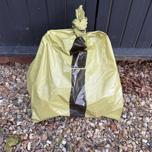 Clinical waste bag