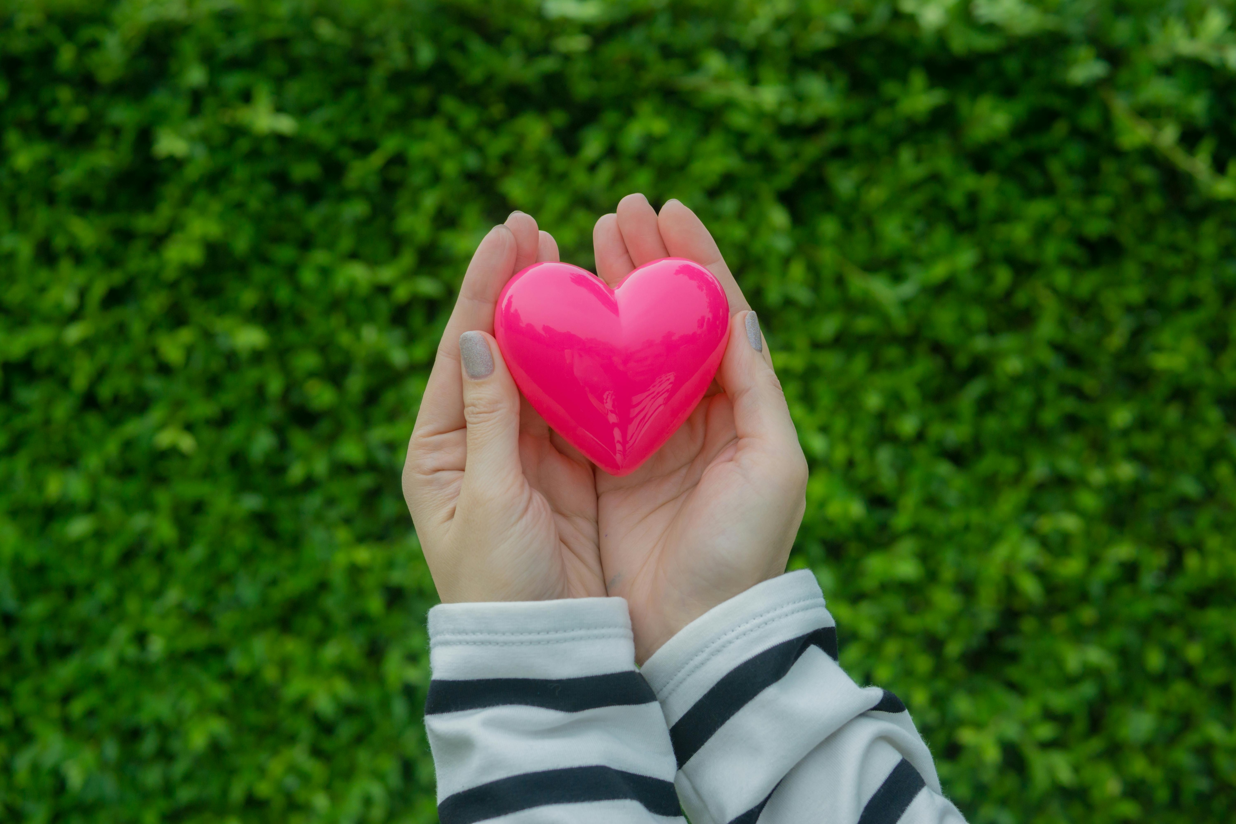 Image of a person holding a heart