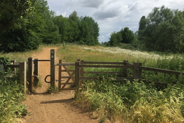 Picture of Harmondsworth moor