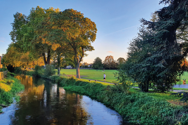 Image of man running in park