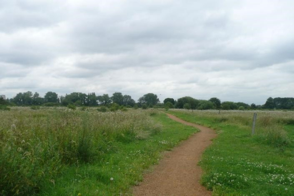 Photo taken along the Led Walk: Grand Union