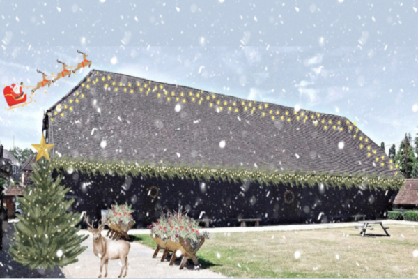 Manor farm christmas festival