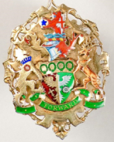 Image of the Mayor's formal badge