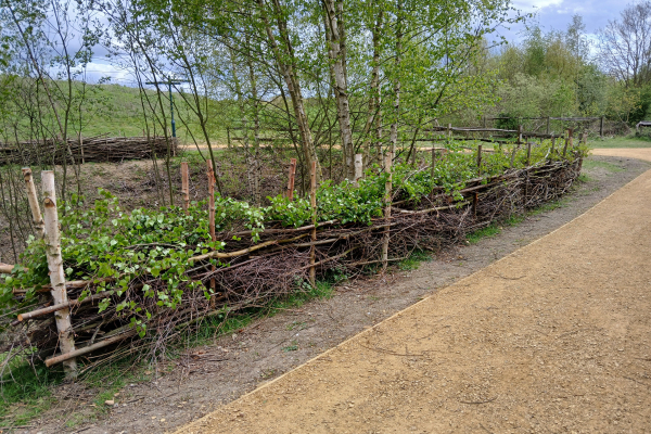 Image of work being done at Minet park