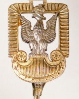 Image of a Polish Eagle badge