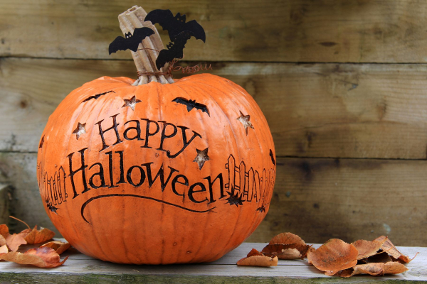 Pumpkin trail image