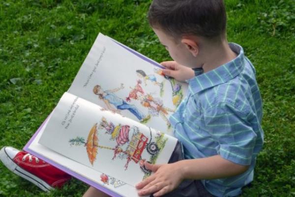 A young boy reads a book sat in a grassy field