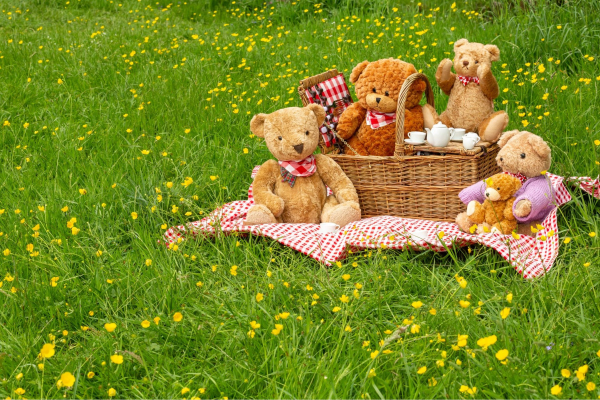 Teddy bears picnic