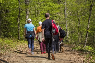 Photo of group of adults walking together outside in an open space