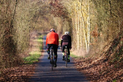 Photo of two people cycling along a track through a wooded area.