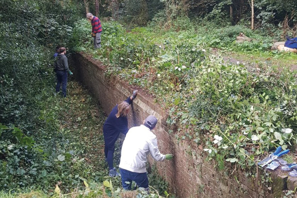 Group of people working on planting.