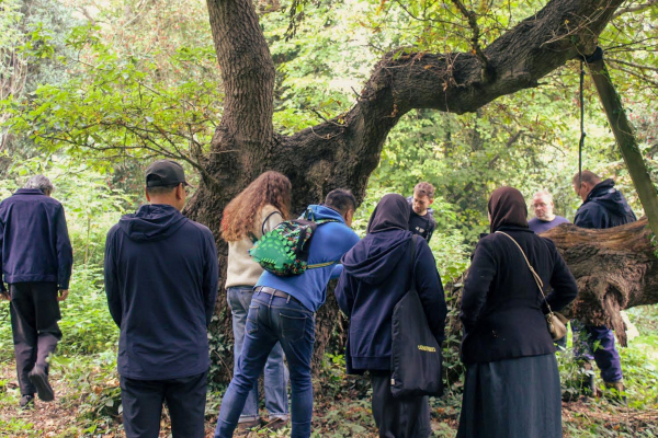 group of people looking at a tree