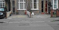 Multiple occupancy driveway example