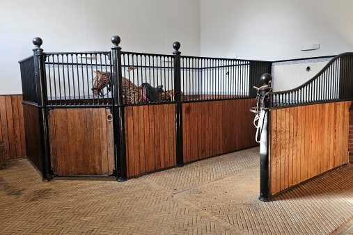 Image of a horse in the stables